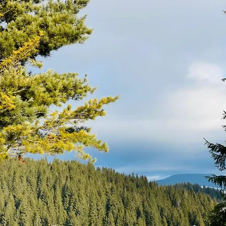 Готель Яблуниця Hotel Yablunytsya